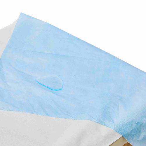 China Telijie Disposable Bed Sheet Roll, PP+PE Non-Woven Fabric Multi-Color, Waterproof for Hotel, Home & Travel Manufacturer