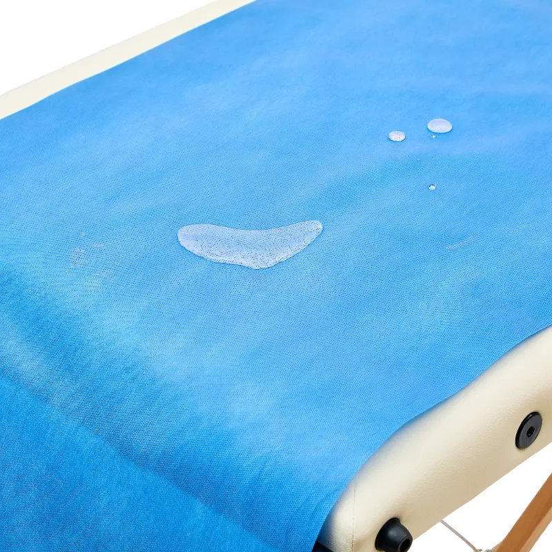 Telijie’s Disposable Examination Bedsheet — Trusted Medical Bed Sheet for Global Healthcare Providers